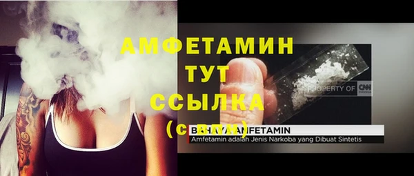 ПСИЛОЦИБИНОВЫЕ ГРИБЫ Абаза