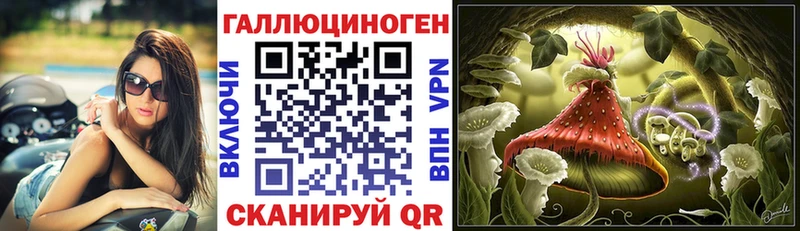 МЕГА вход  цена наркотик  Кызыл  Псилоцибиновые грибы Cubensis 